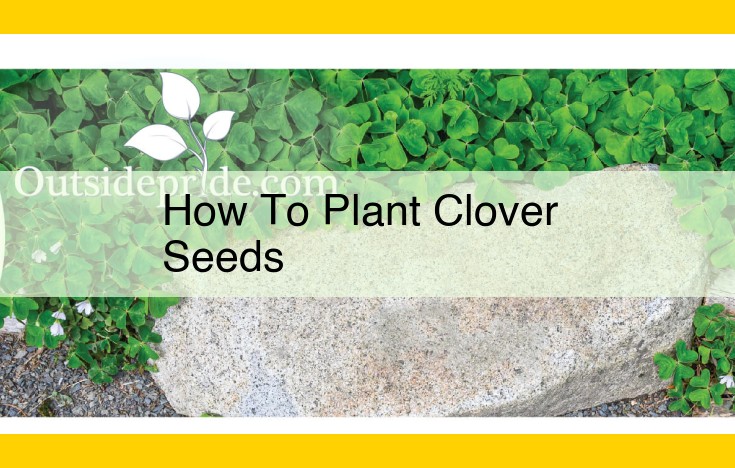 How to Plant Clover Seeds: A Comprehensive Guide for a Lush Garden