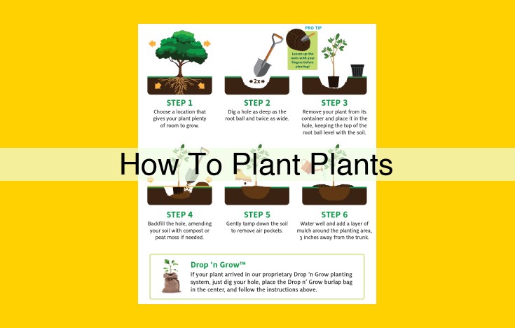 Comprehensive Guide to Planting Success: Choosing the Ideal Location and Proper Techniques