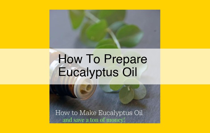 Eucalyptus Oil 101: Extraction, Benefits, and Uses