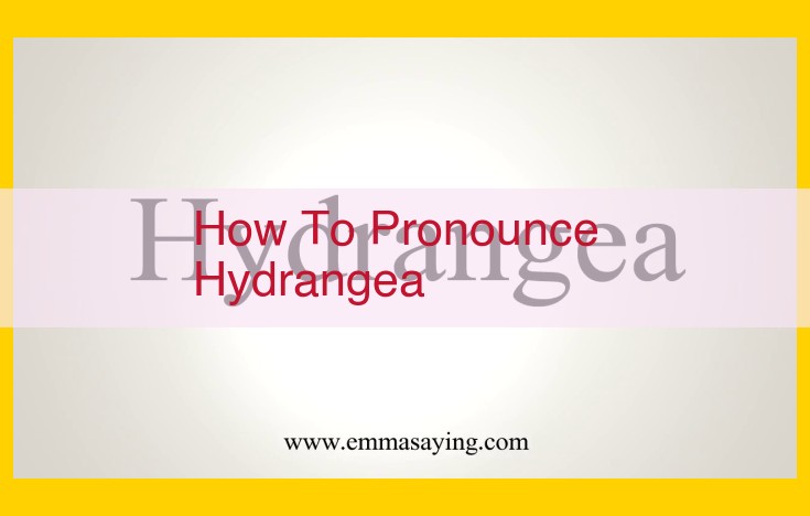 Learn How to Pronounce "Hydrangea": Simplified Guide with Pronunciation Tips