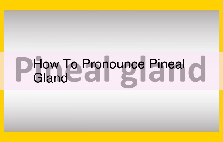 The Pineal Gland: Uncovering Its Neurological and Anatomical Significance in Sleep Regulation and Beyond