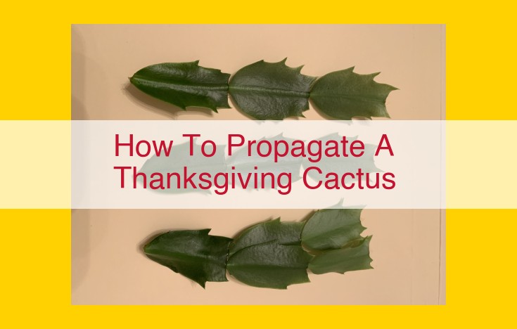 Step-by-Step Guide to Propagating Thanksgiving Cacti for Perfect Holiday Cheer