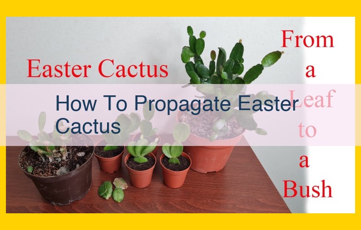 Easy Guide to Propagating Easter Cactus: Step-by-Step Method for Success