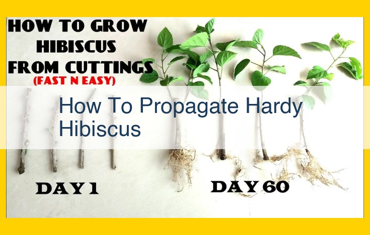 How to Propagate Hardy Hibiscus: A Comprehensive Guide for Beginners