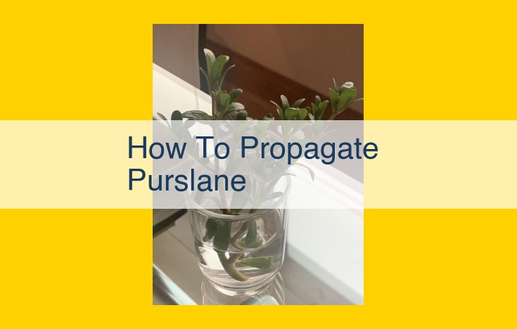 Comprehensive Guide to Propagating Purslane: Stem Cuttings, Seeds, and Leaf Cuttings