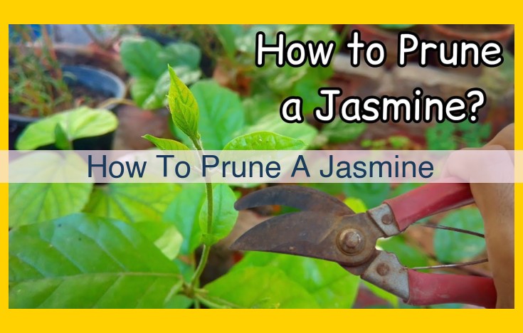 Essential Guide to Pruning Jasmine for Healthy Growth and Enhanced Beauty