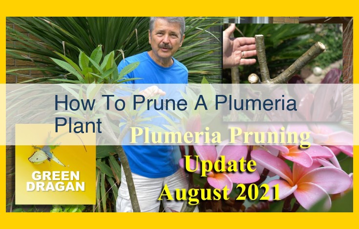 Optimizing Plumeria Pruning: Essential Tools, Techniques, and Care