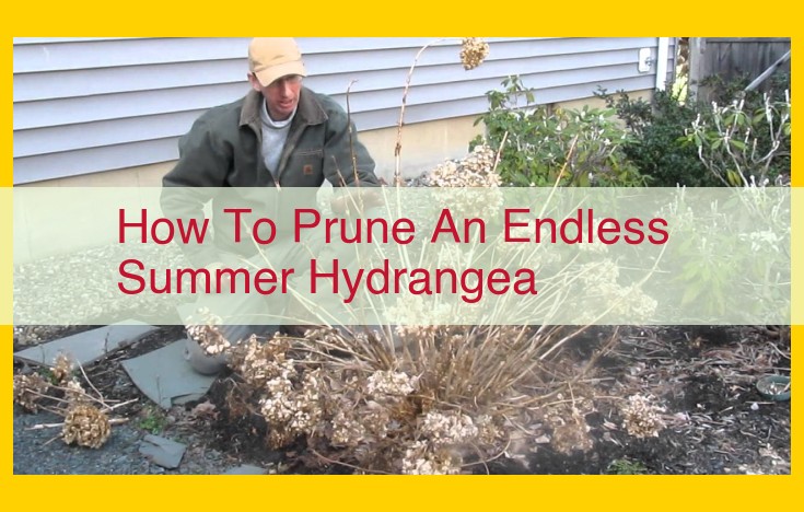 Comprehensive Endless Summer Hydrangea Pruning Guide: Enhance Blooms and Health