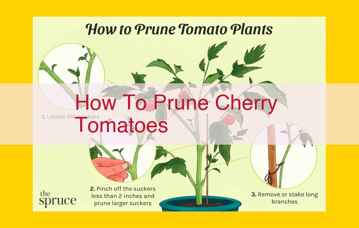 Expert Guide to Pruning Cherry Tomatoes for Optimal Growth and Yield