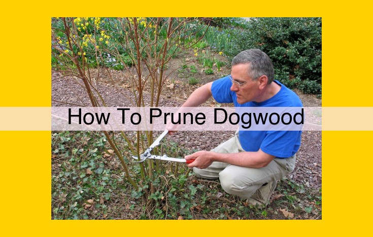 Ultimate Dogwood Pruning Guide: Tips for Healthy, Attractive Trees