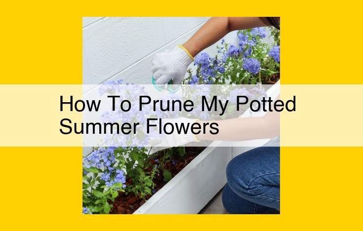 Expert Guide to Pruning Potted Summer Flowers for Optimal Health and Bloom