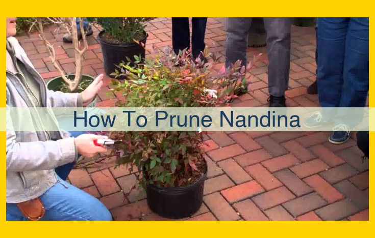 Comprehensive Guide to Pruning Nandina for Optimal Growth and Appearance