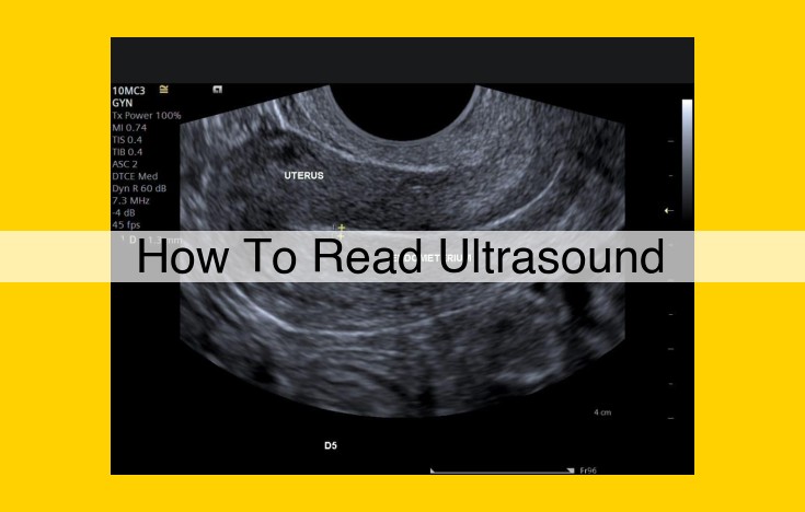 Comprehensive Ultrasound Imaging: Analysis, Techniques, and Applications in Medical Diagnosis