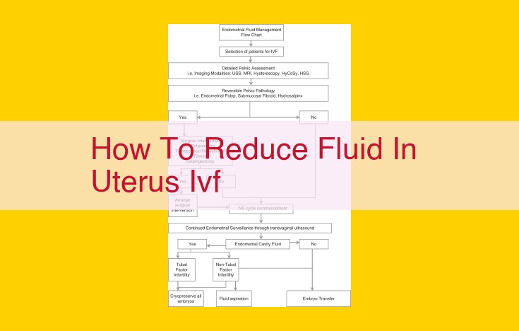 Effective Fluid Removal Techniques for Uterine Effusion and Ascites: A Comprehensive Guide