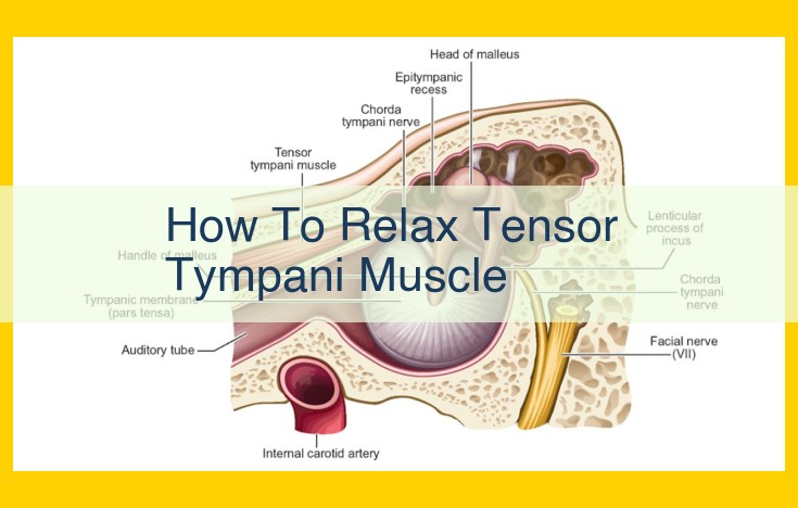 Relieve Tensor Tympani Tension: Effective Home Remedies and Warning Signs