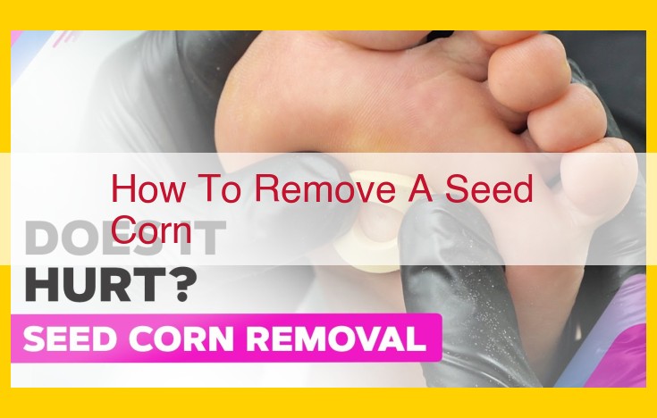 Step-by-Step Guide to Seed Corn Preparation: Husking, Shelling, and Grading