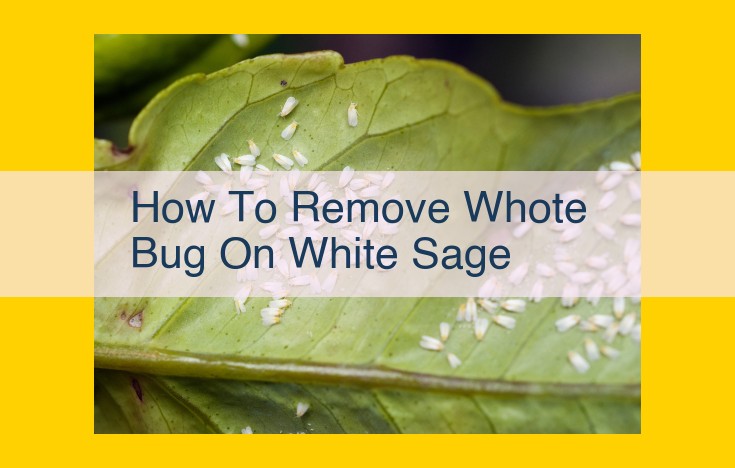 Eliminate White Bugs on White Sage: Comprehensive Guide for Pest Control and Prevention