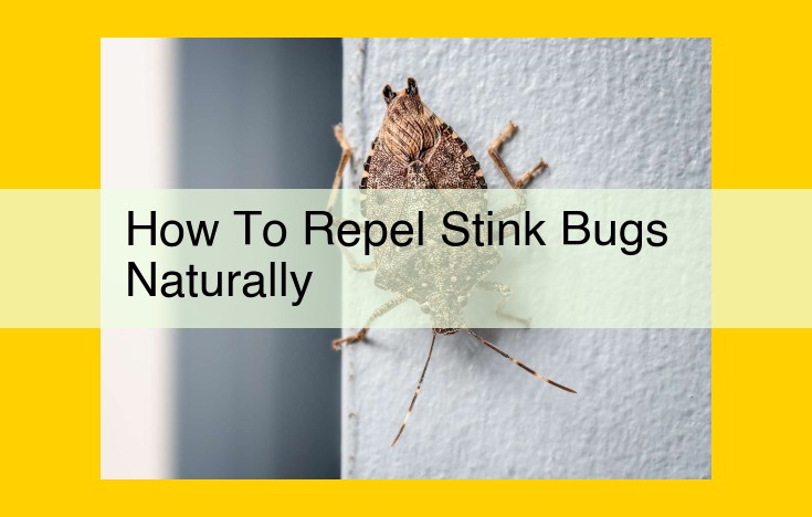 Ultimate Guide to Repelling Stink Bugs Naturally: High-, Moderate-, and Low-Efficacy Methods