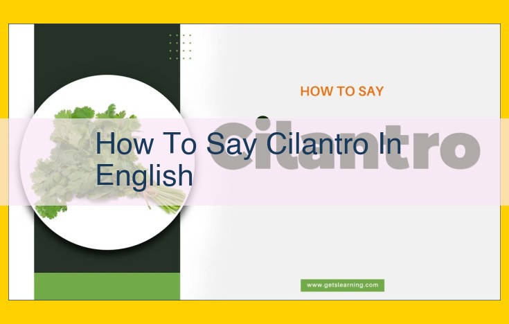 Cilantro: The Vibrant Herb with a Citrus Twist, Enhancing Mexican and Asian Dishes