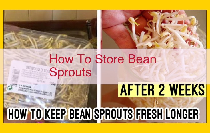 Preserving Freshness and Extending Shelf Life: Refrigeration and Freezing Techniques for Bean Sprouts