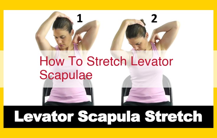 Optimize Levator Scapulae Stretch: Ultimate Guide to Strengthen Neck and Shoulders