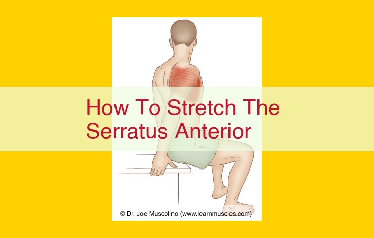 How to Effectively Stretch Your Serratus Anterior: Step-by-Step Guide