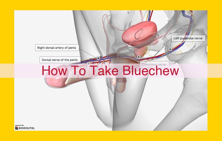 How to Take Bluechew: A Comprehensive Guide for Maximum Results