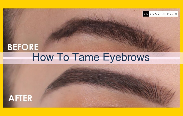 Comprehensive Guide to Eyebrow Taming: Techniques, Products, Trends, and Career Opportunities