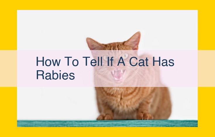 Diagnosing Rabies in Cats: Symptoms, Tests, and Prevention