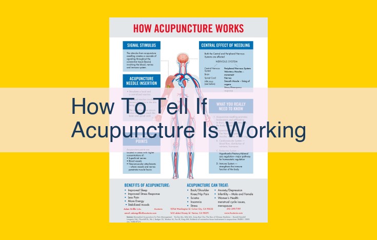 Assessing Acupuncture Efficacy: Self-Reporting, Clinical Exams, and Objective Measures