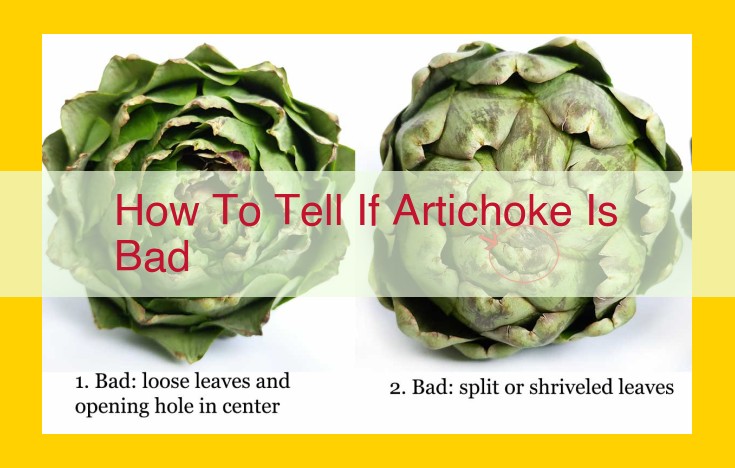 5 Easy Tips to Identify Fresh Artichokes: A Guide for Quality Selection