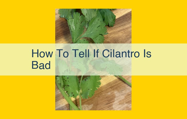 Spotting Spoilage: Identifying Telltale Signs of Bad Cilantro