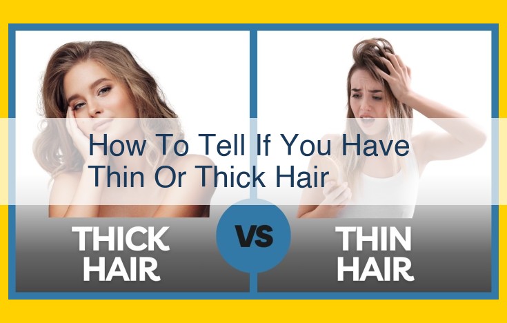 Unraveling Hair Thickness: How Intrinsic and Observable Traits Shape Your Locks