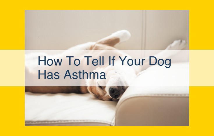 Identifying Canine Asthma: Recognize Symptoms and Seek Expert Assistance