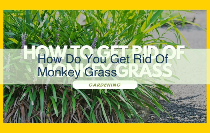 Eradication Strategies for Monkey Grass: A Comprehensive Guide to Control Invasive Species