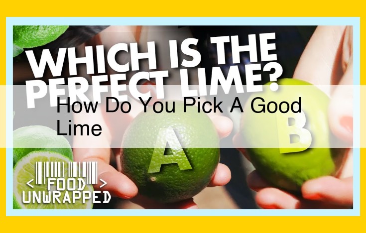 Essential Guide to Selecting Perfect Limes: Tips for Freshness, Flavor, and Juiciness