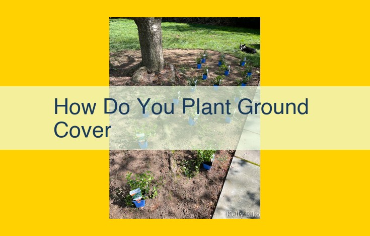 Step-by-Step Guide to Planting a Tree for Optimal Growth