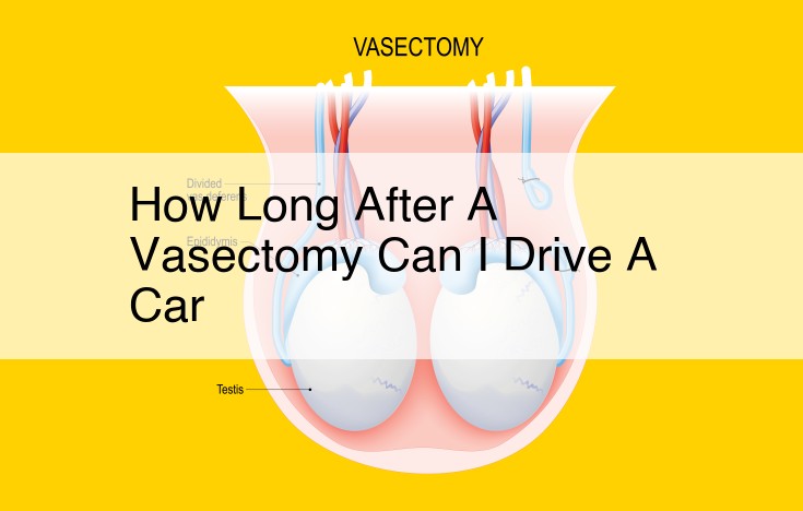 Driving After a Vasectomy: Safety and Recovery Tips