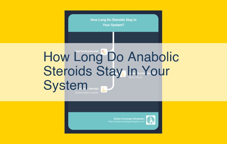 Anabolic Steroid Detection Times: Understanding Duration and Variability