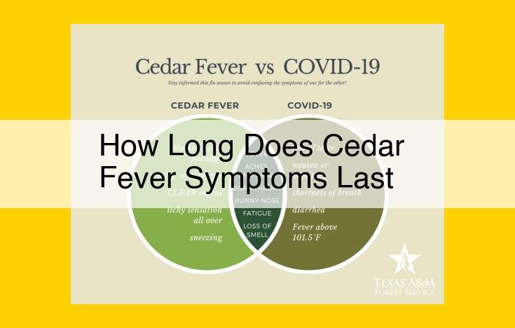 Cedar Fever: A Guide to Pollen Allergies, Symptoms, and Treatment Options