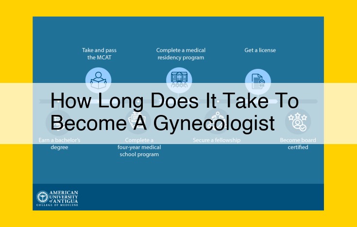 Become a Gynecologist in 12-14 Years: A Comprehensive Training Overview