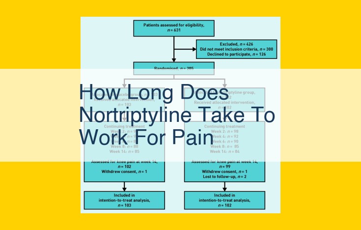 Nortriptyline for Pain Relief: Optimizing Usage for Maximum Results