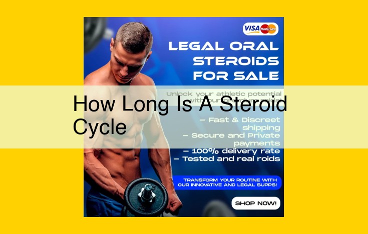 Understanding AAS (Steroid) Cycle Duration: Essential Factors and Duration Guidelines