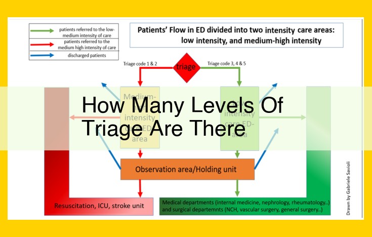 Triage Systems in Healthcare: Classifying Emergencies for Optimal Care