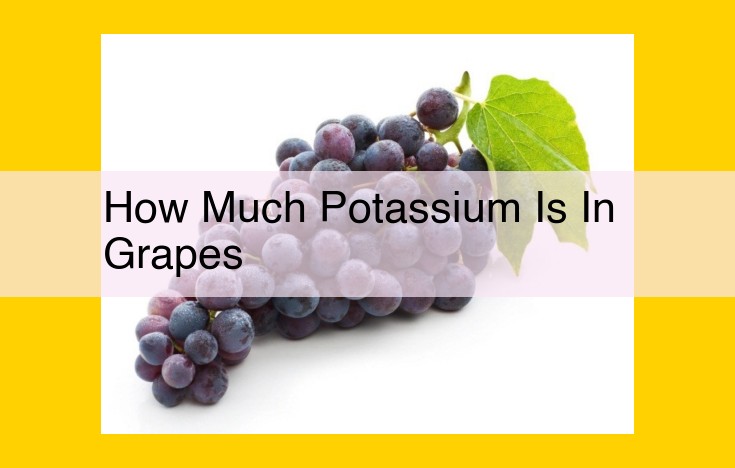 Potassium Powerhouse: Grapes for Electrolyte Balance, Blood Pressure Regulation, and Muscle Health