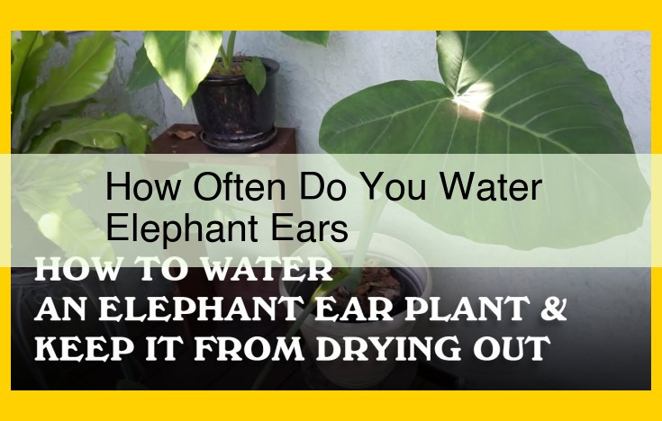 Essential Elephant Ear Watering Guide: Avoid Overwatering and Underwatering Disasters