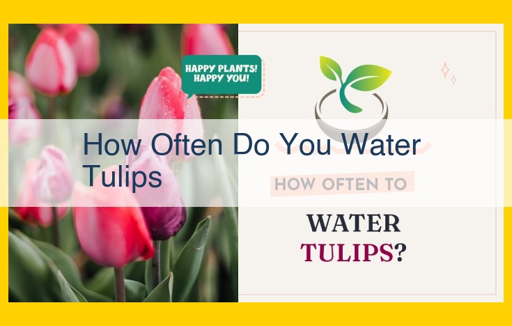 Comprehensive Guide to Watering Tulips: Frequency, Techniques, and Climate Considerations