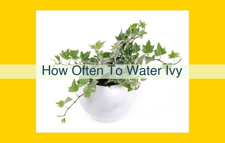 Ivy Watering Guide: How Often to Water Ivy Plants for Optimal Growth