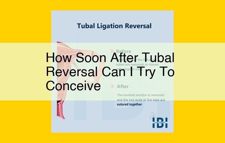 Optimized Title: Tubal Reversal and Conception Timeline: A Comprehensive Guide