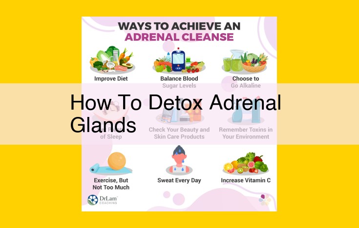 Maintaining Adrenal Gland Health: Dietary and Physiological Strategies for Detoxification and Resilience